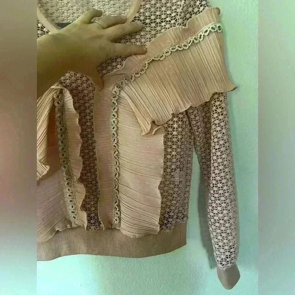Allison Crochet Like Ruffle Pullover Top Size XS Blush Coquette Sheer Girlhood - Picture 5 of 13